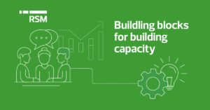 Nonprofit Leverages RSM for the Building Blocks for Building Capacity