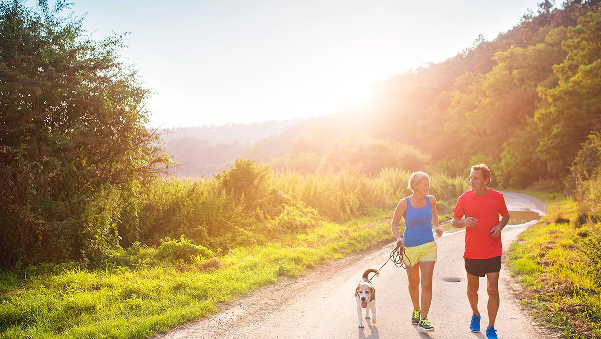 Missing participants in a retirement plan