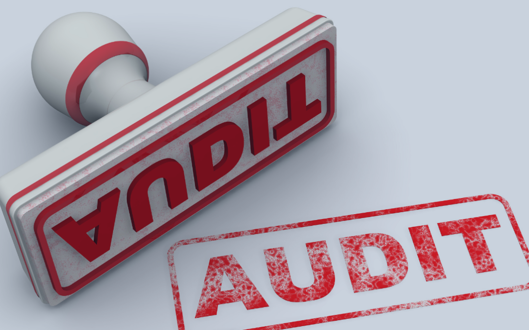 Audit Ready: Ensuring Compliance with Employee Benefit Plans