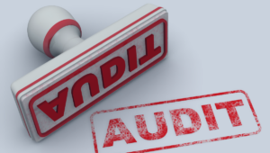 Auditor’s Approach: Evaluating Nonprofit Revenue Streams
