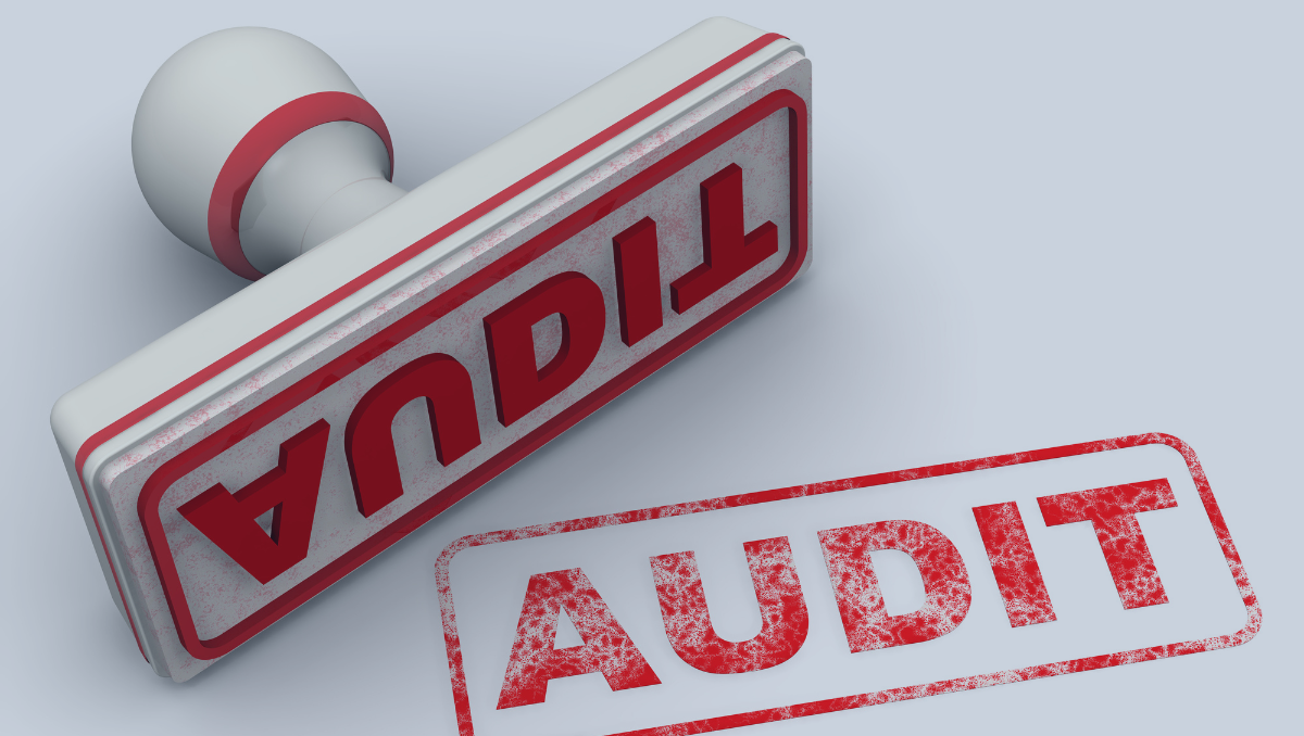 Auditor’s Approach: Evaluating Nonprofit Revenue Streams