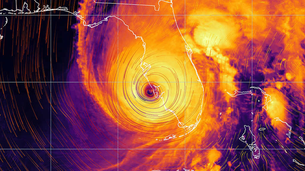 Who’s who in insurance claims for natural disasters