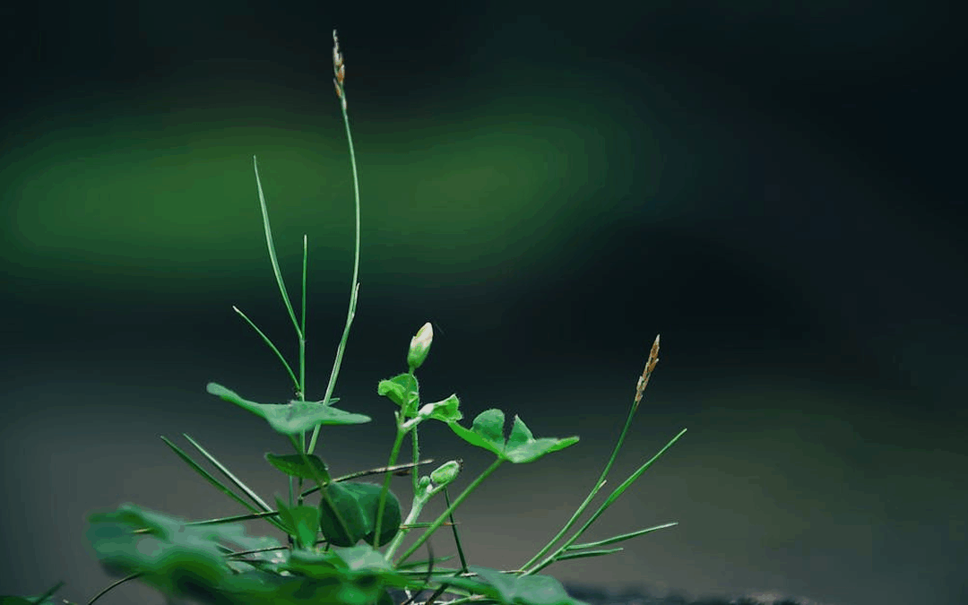 Tax Effects of Key Life Events