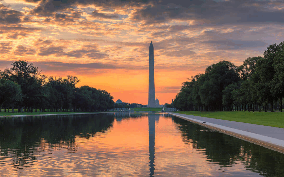 Proposed sourcing rules for borrow fees in lending and repo transactions