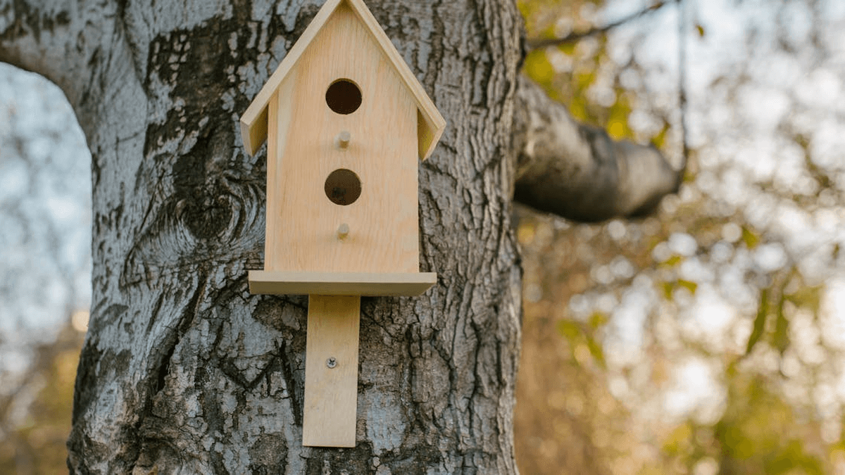 Understanding Trump Accounts: what parents need to know about the new child-focused IRA