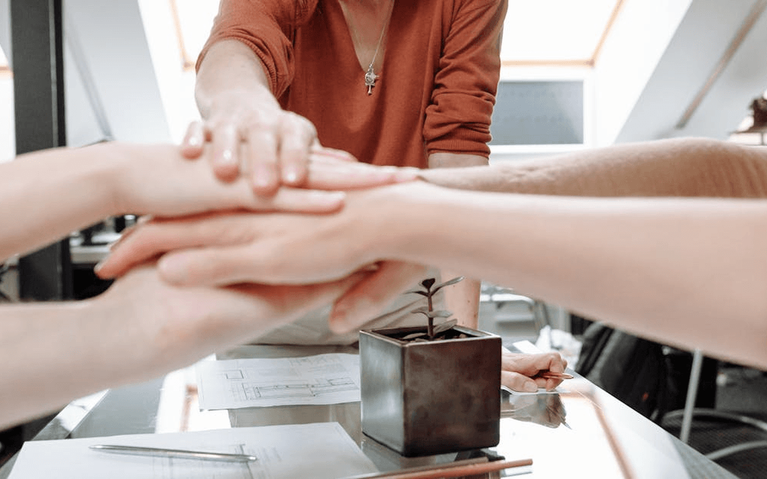 Succession Planning: Ensuring Leadership Continuity in Nonprofits
