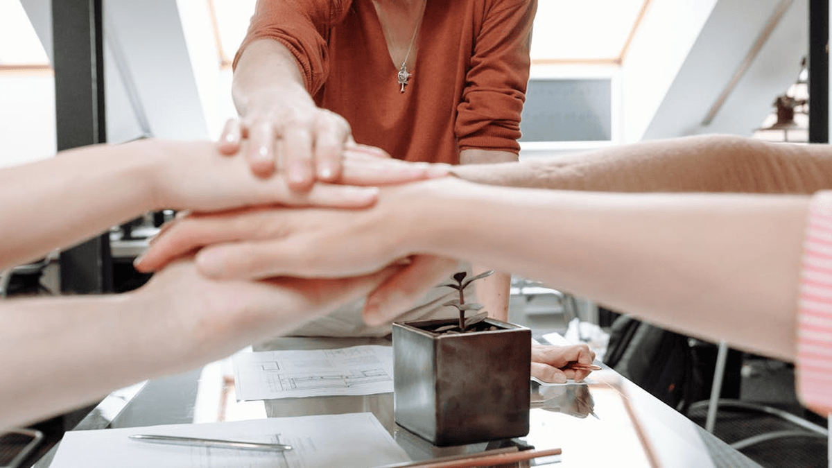 Succession Planning: Ensuring Leadership Continuity in Nonprofits