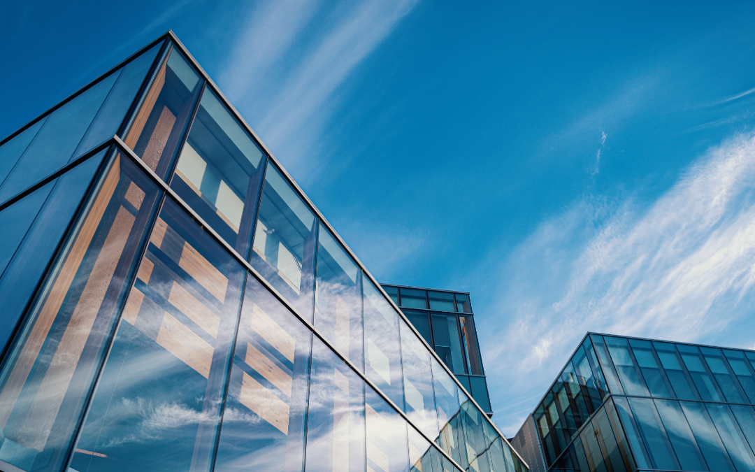 What Related Business Entities Need to Know About Transfer Pricing Before Crossing Borders