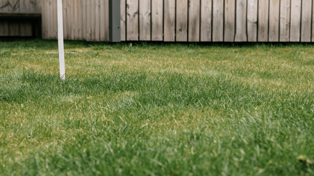 Tax Traps to Know Before Renting Your Property to a Family Member