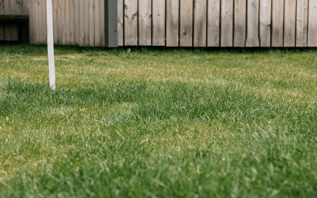 Tax Traps to Know Before Renting Your Property to a Family Member