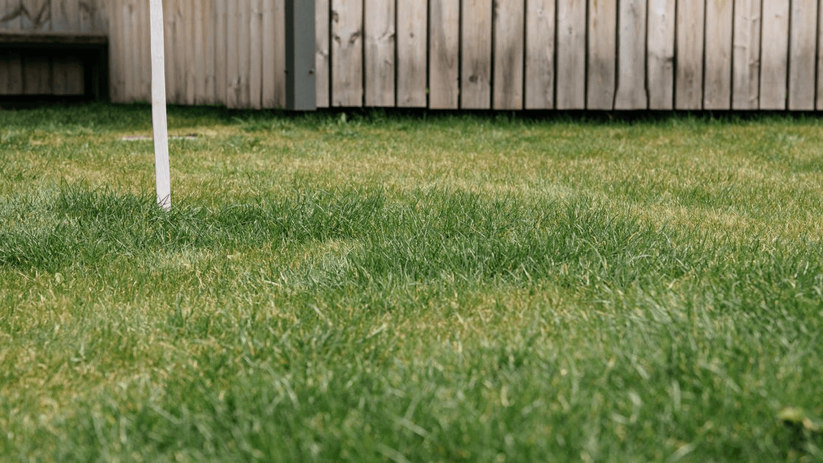Tax Traps to Know Before Renting Your Property to a Family Member