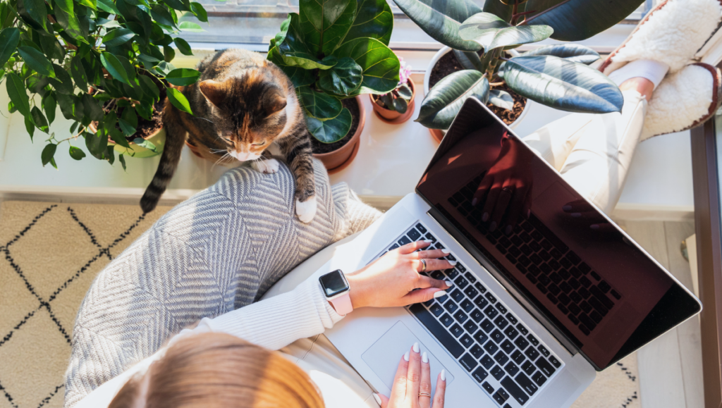 The Self-Employed Roth IRA: Why You Might Qualify (and Why It Matters)