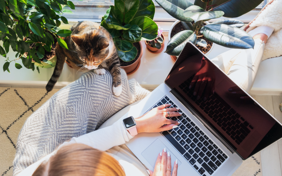 The Self-Employed Roth IRA: Why You Might Qualify (and Why It Matters)
