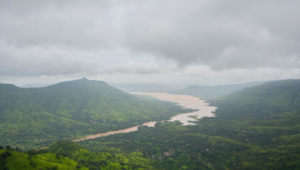 IRS Steps Up Conservation Easement Scrutiny While Offering New Settlement Relief